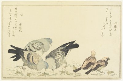 Feldsperling und Felsentaube, ca. 1790 von Kitagawa Utamaro